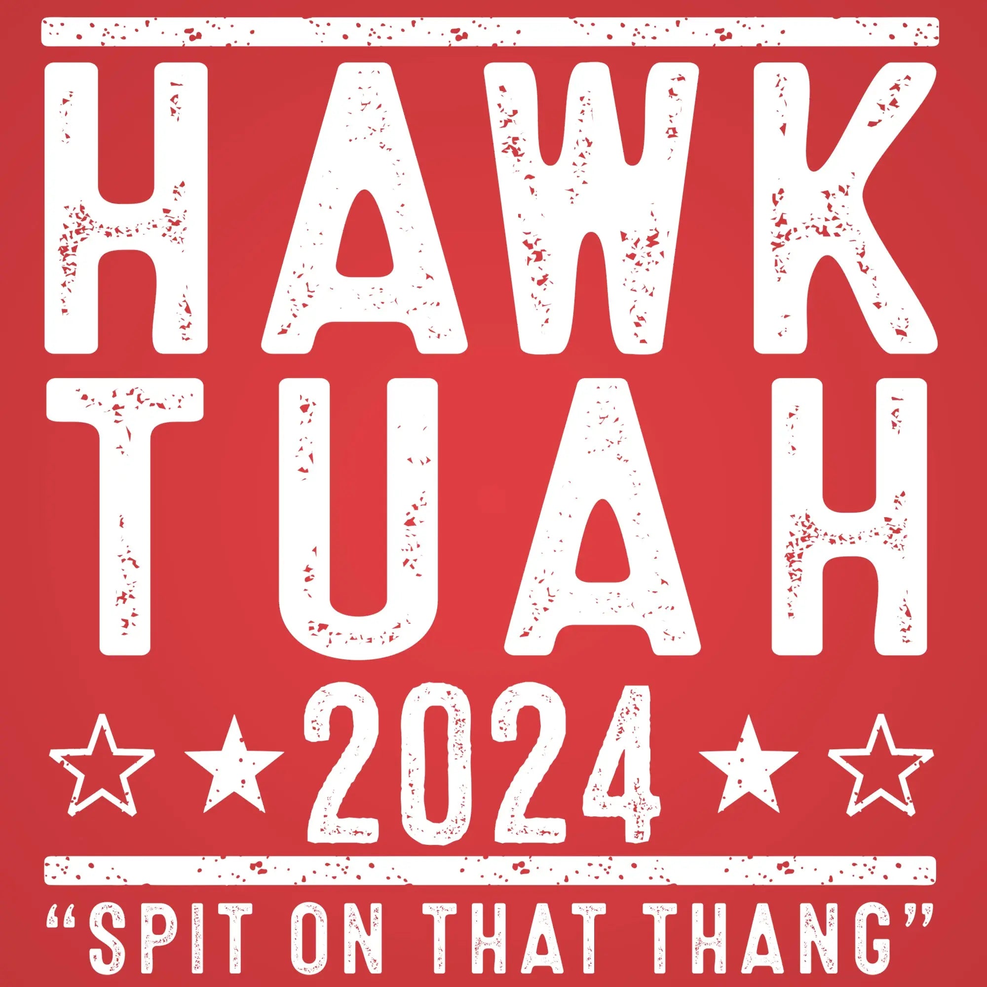 Hawk Tuah 2024 Election Tshirt - Donkey Tees