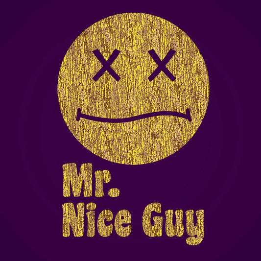 Mr Nice Guy Tshirt - Donkey Tees