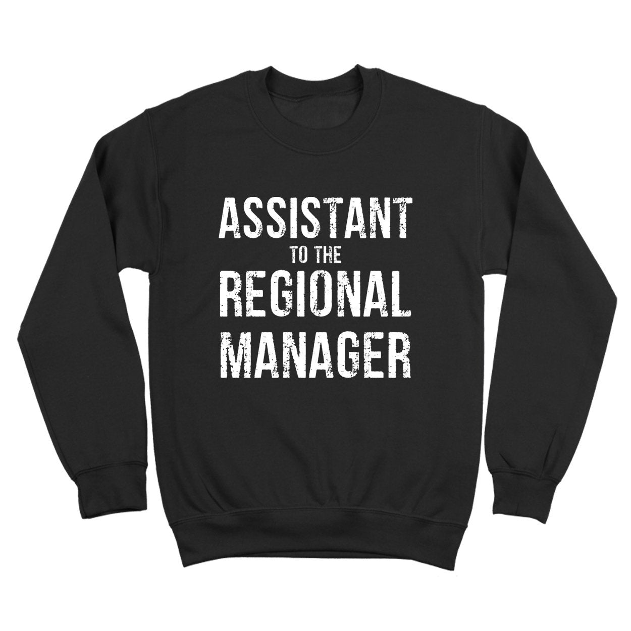 Assistant To The Regional Manager - Donkey Tees T-shirt