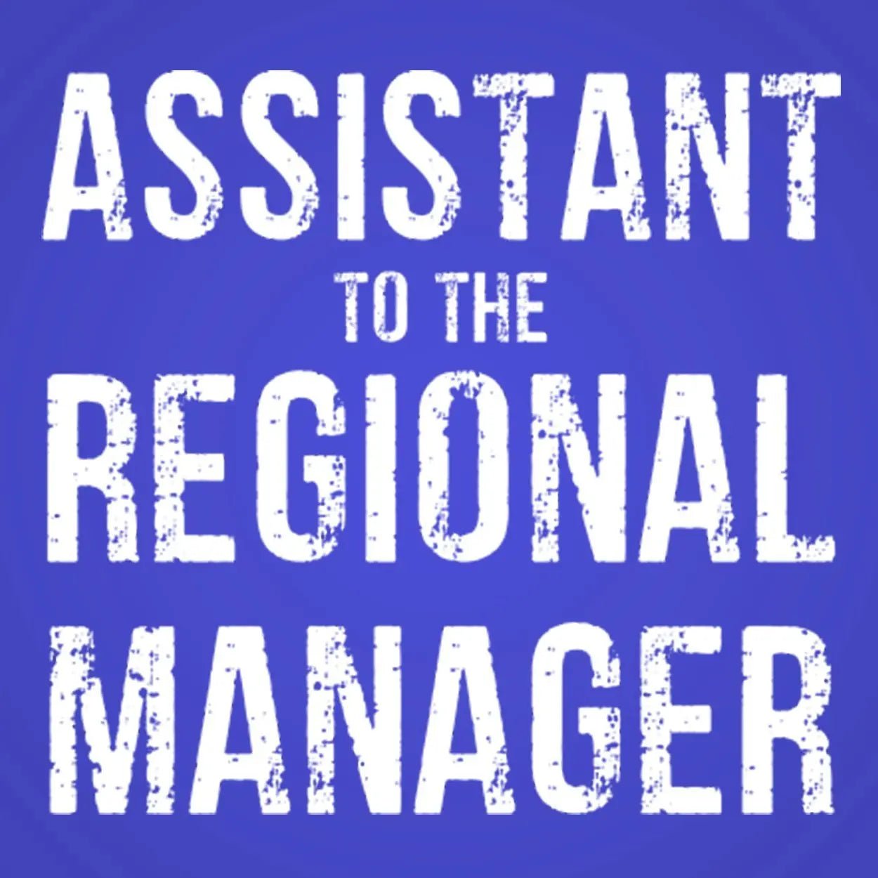 Assistant To The Regional Manager - Donkey Tees T-shirt