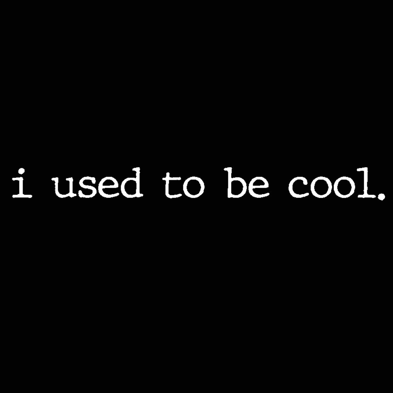 I Used To Be Cool - Donkey Tees T-shirt