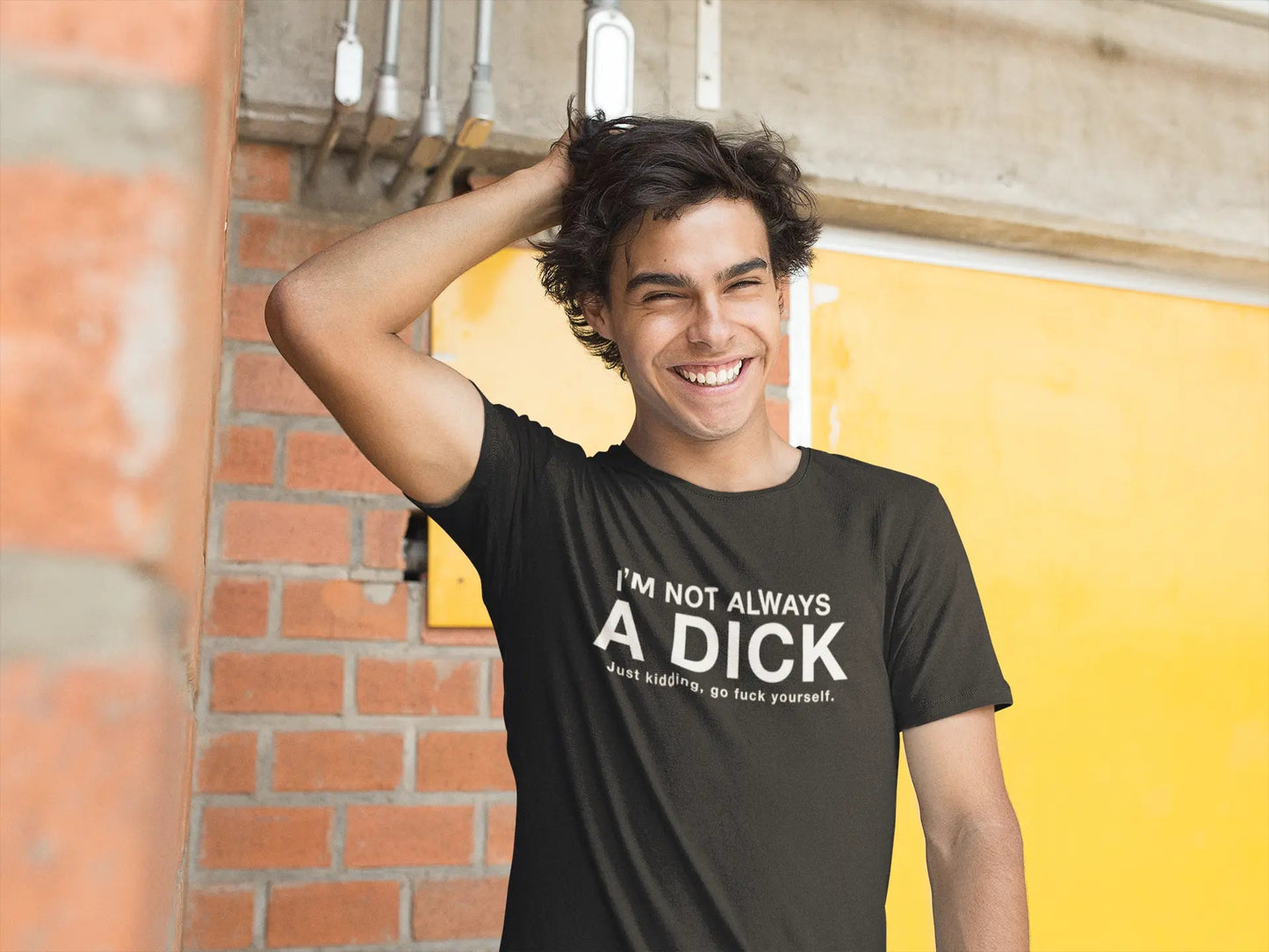 I'm Not Always A Dick Just Kidding - Donkey Tees T-shirt