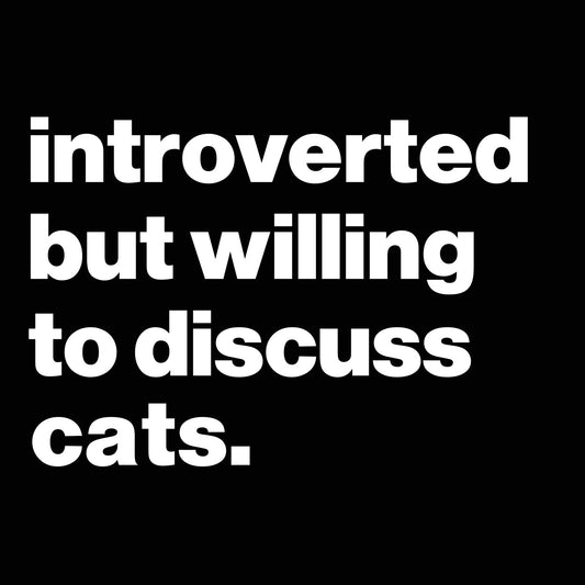 Introverted But Willing To Discuss Cats - Donkey Tees T-shirt