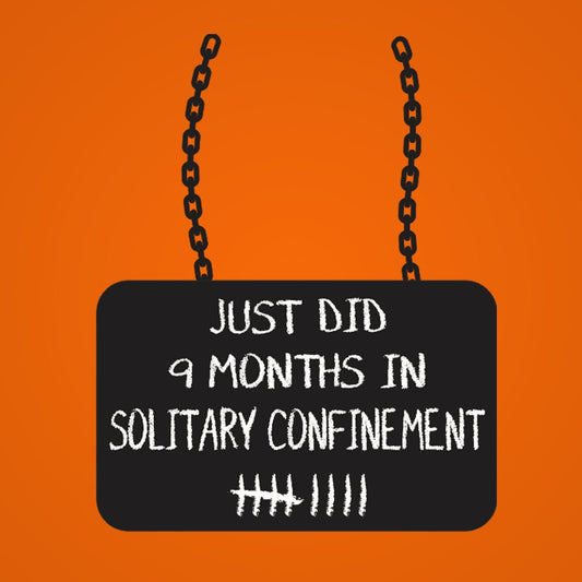 Just Did 9 Months In Solitary - Donkey Tees T-shirt