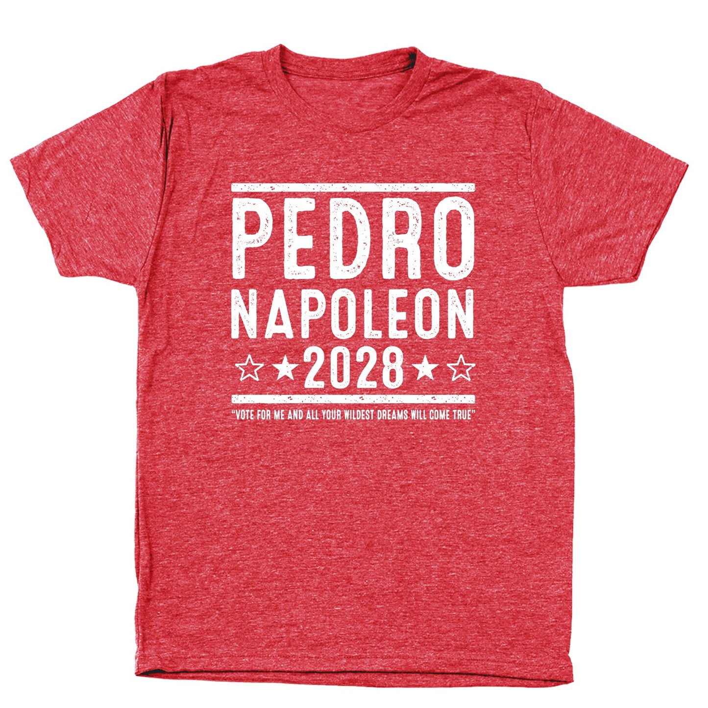 Pedro Napoleon 2028 Election - Donkey Tees T-shirt