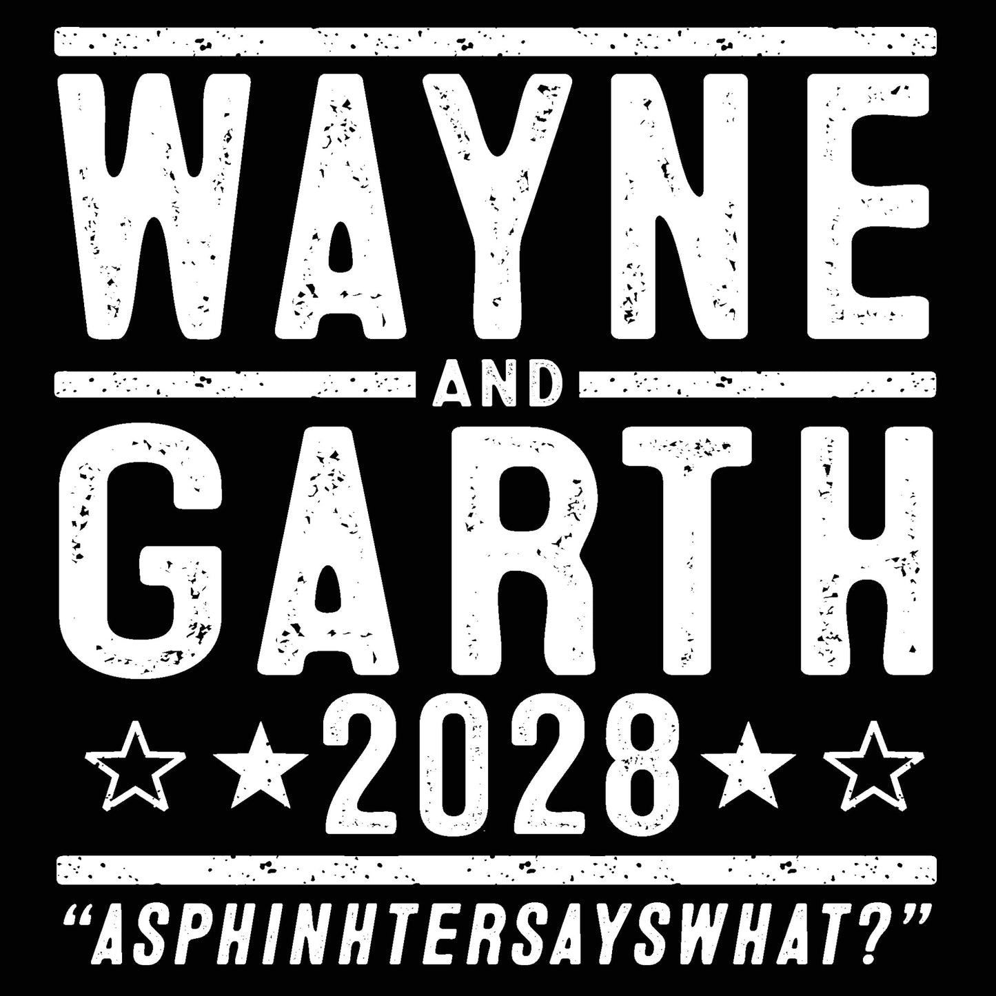 Wayne And Garth 2028 Election - Donkey Tees T-shirt